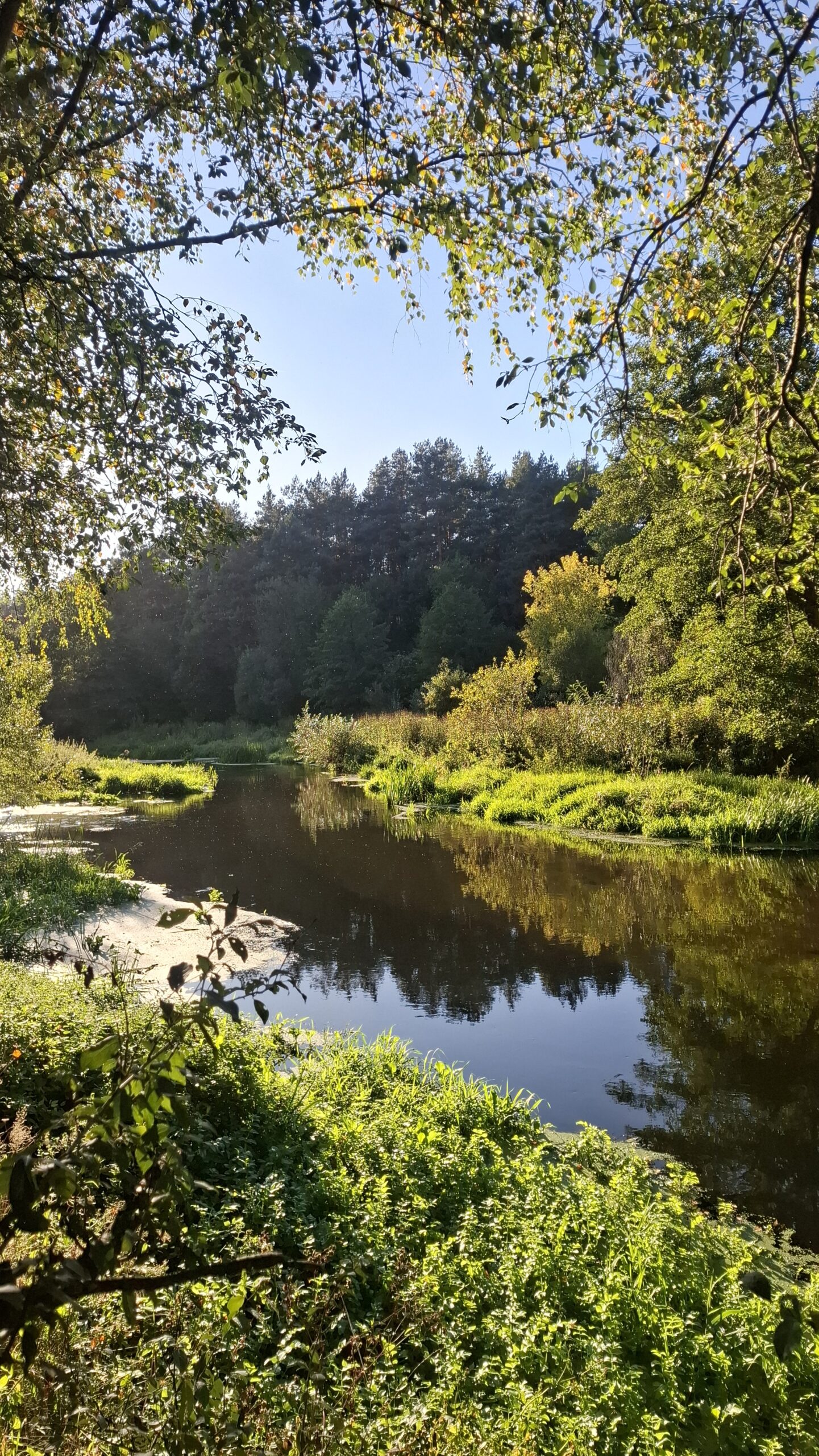 Domek Paproć - Image 22
